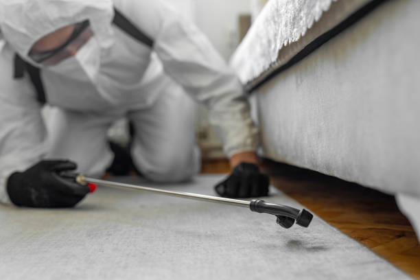 Professional Termite Control technician working in Cadott, WI